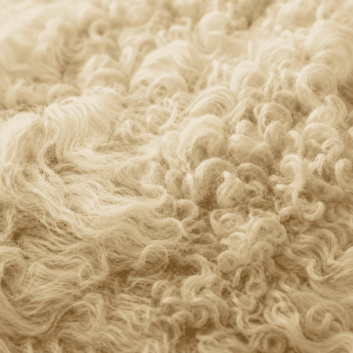 SHEEP SKIN RUG SR-116 34x25 INCH
