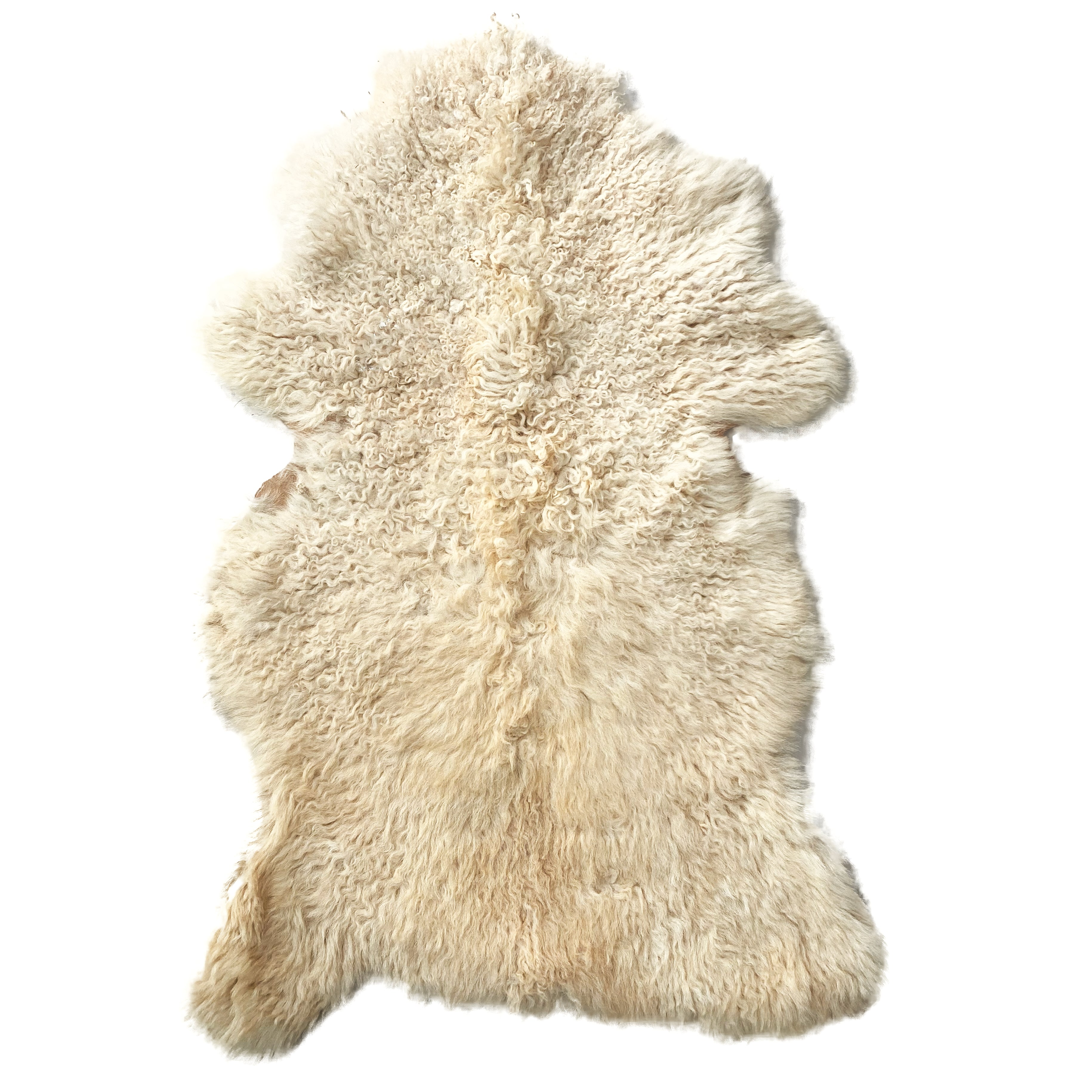 SHEEP SKIN RUG SR-120 38x26 INCH