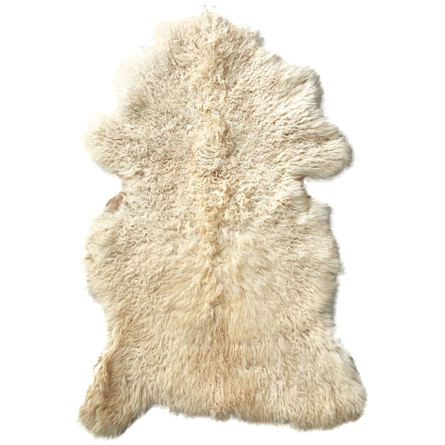 SHEEP SKIN RUG SR-120 38x26 INCH
