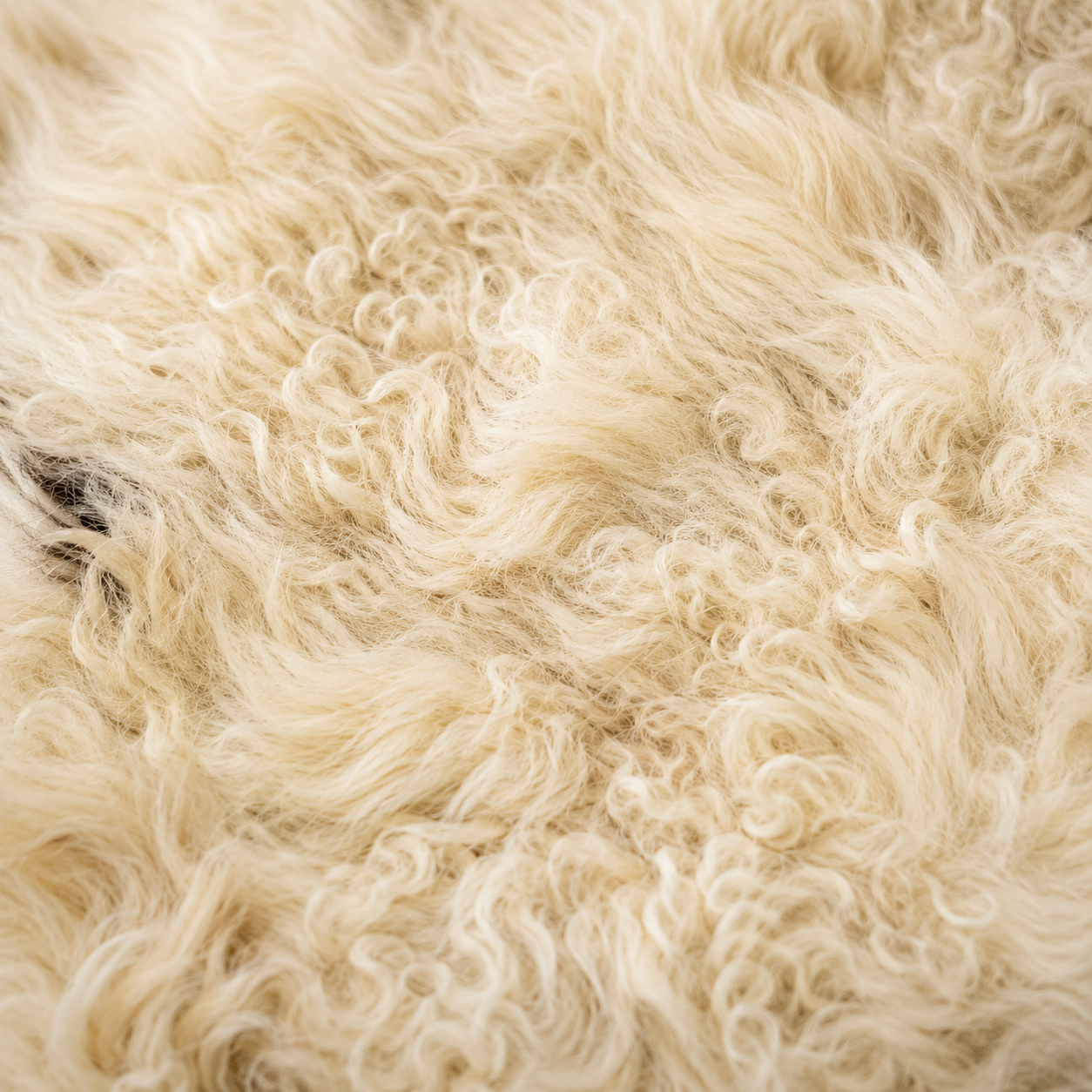 SHEEP SKIN RUG SR-125 37x30 INCH