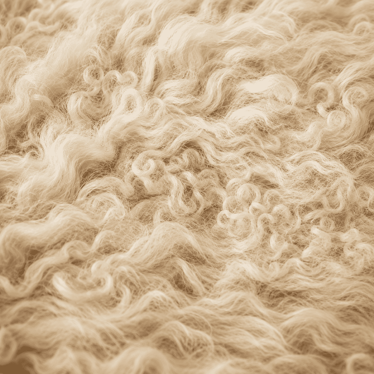 SHEEP SKIN RUG SR-127 36x24 INCH