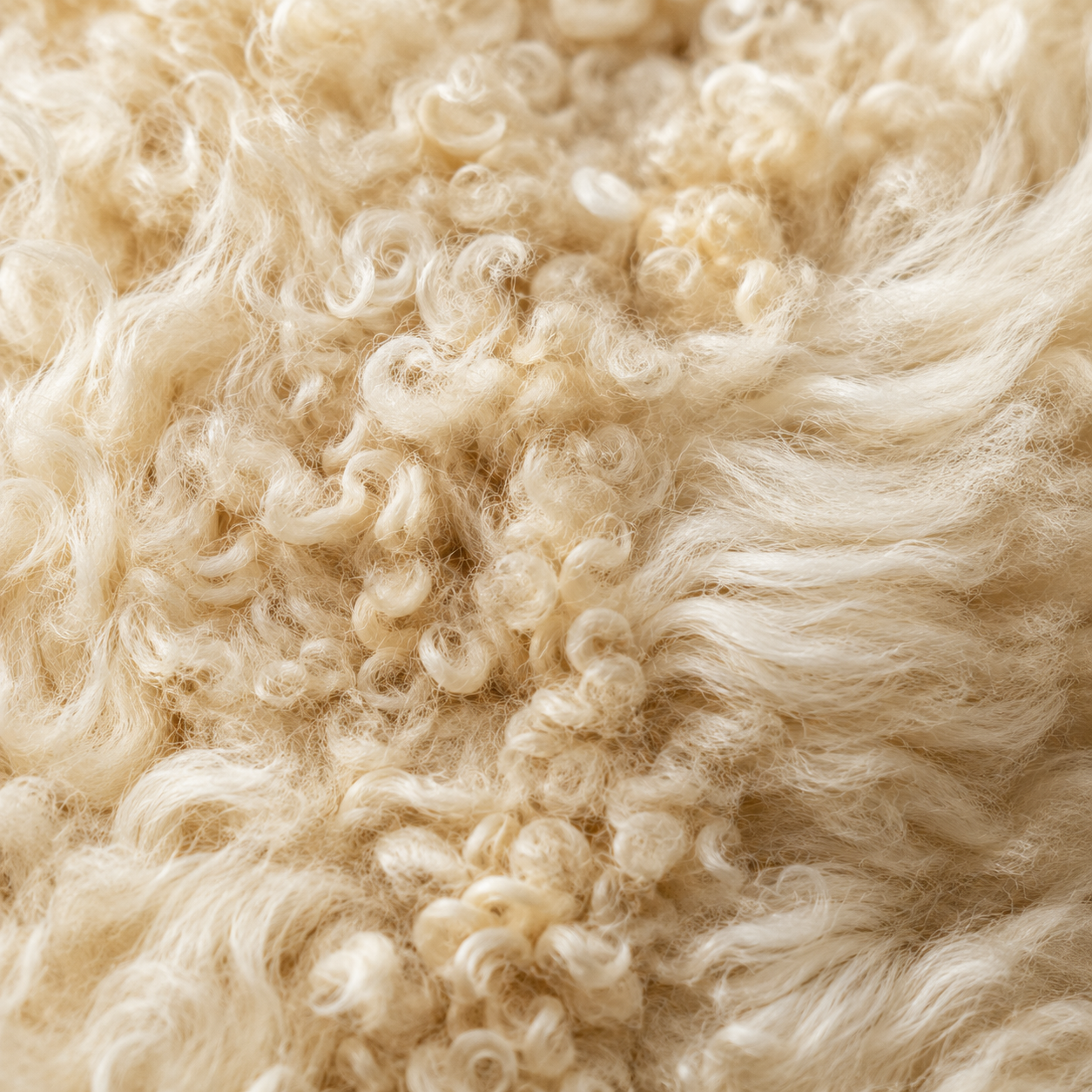 SHEEP SKIN RUG SR-129 36x24 INCH